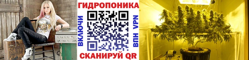 Купить наркотик аптеки Калтан Галлюциногенные грибы  ГАШ  Бошки Шишки 