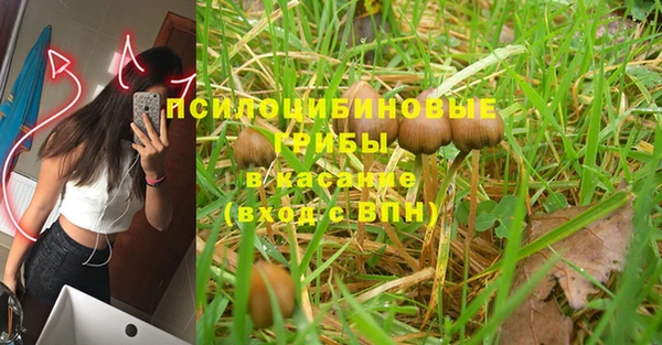 спиды Беломорск