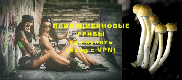 спиды Беломорск